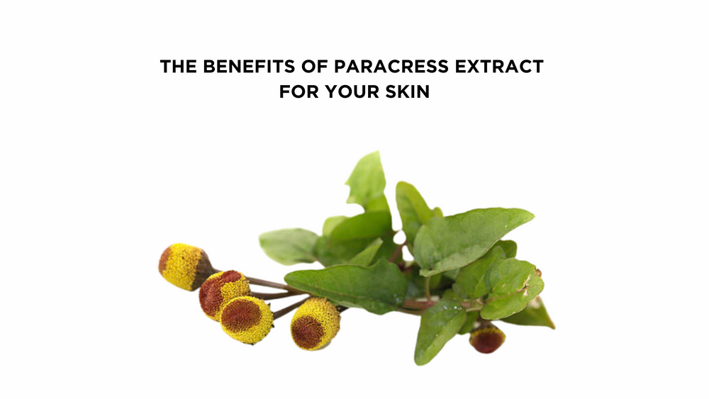 Paracress For Skin: The Ultimate Natural Anti-Aging Solution